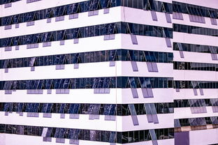 爱游戏体育-体育赛事风险管控体系建设，体育赛事风险防范